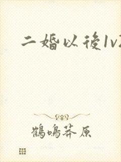 二婚以后1v2封面