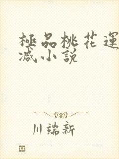 极品桃花运未删减小说