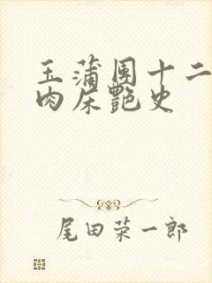 玉蒲团十二寡妇肉床艳史封面