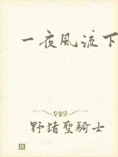一夜风流下载
