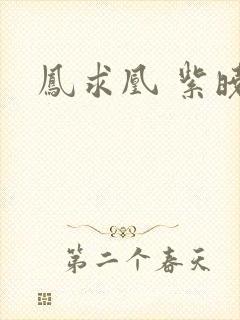 凤求凰 紫晓封面