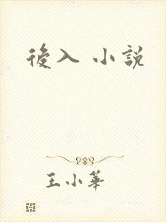 后入 小说