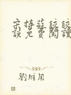 宋持苏皎皎的小说免费阅读封面