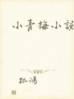 小青梅小说