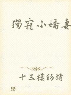 独宠小娇妻