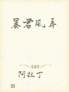 暴君风弄封面