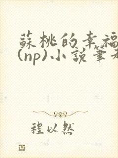 苏桃的幸福生活(np)小说笔趣阁沐沐