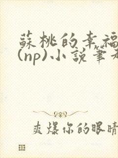 苏桃的幸福生活(np)小说笔趣阁封面