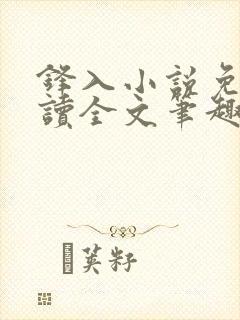 锋入小说免费阅读全文笔趣阁