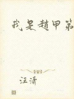 我是赵甲第小说