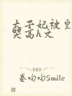 太子妃被皇上c哭高h文封面