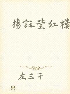 杨钰莹红楼封面