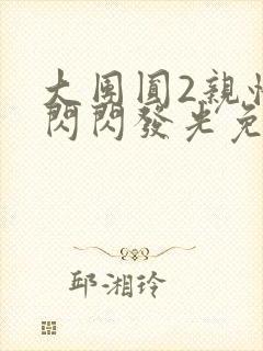 大团圆2亲情会闪闪发光免费