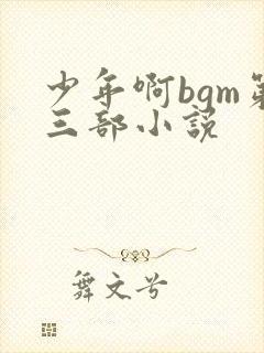 少年啊bgm第三部小说封面