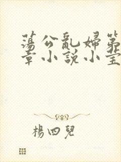 荡公乱妇第51章小说小莹