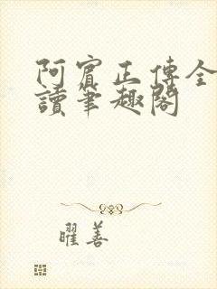 阿宾正传全文阅读笔趣阁