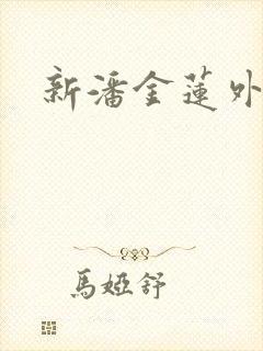 新潘金莲外传封面