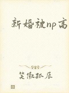 新婚被np高h
