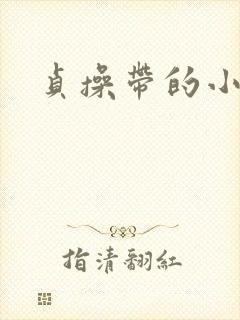 贞操带的小说封面