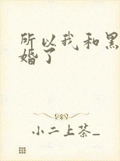所以我和黑粉结婚了