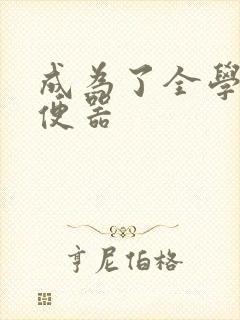 成为了全学校坐便器