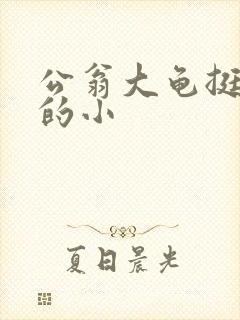 公翁大龟挺进我的小