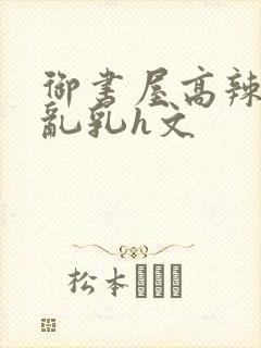 御书屋高辣h文乱乳h文