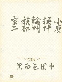 家族轮换小说第二部叫什么名字封面