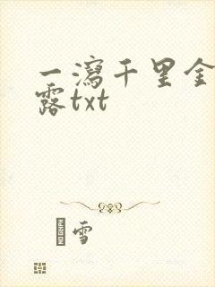 一泻千里金银花露txt