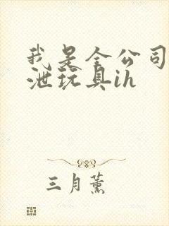 我是全公司的发泄玩具ih封面