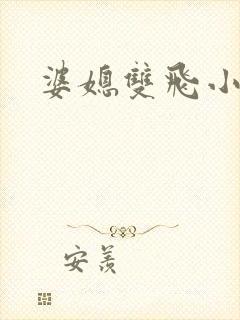 婆媳双飞小说封面