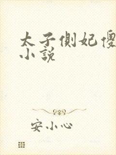 太子侧妃傻乎乎小说