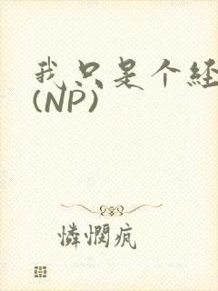 我只是个经纪人(NP)