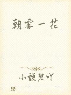 朝雾一花封面