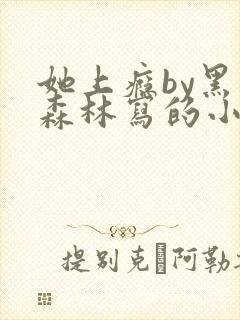 她上瘾by黑暗森林写的小说免费阅读无弹窗