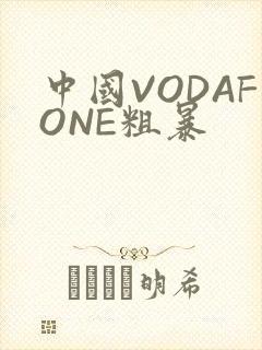 中国VODAFONE粗暴