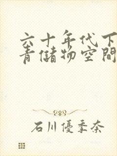 六十年代下乡知青储物空间