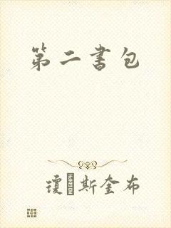第二书包封面