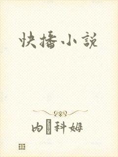 快播小说