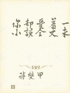 你却爱着一个他小说全文未删减免费