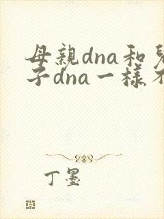 母亲dna和儿子dna一样不