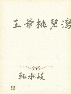 王爷桃儿泻了封面