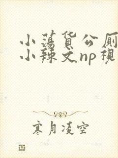 小荡货公厕h文小辣文np视频封面