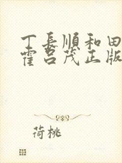 丁长顺和田晓兰霍吕茂正版