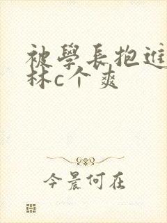 被学长抱进小树林c个爽封面