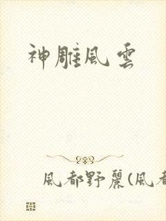 神雕风云