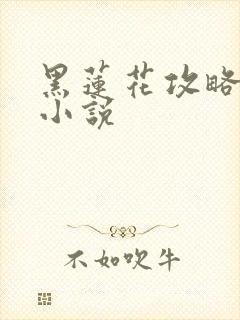 黑莲花攻略手册小说