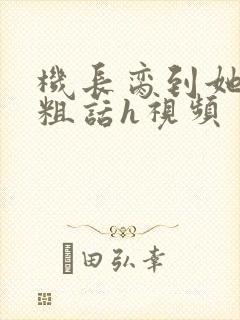 机长脔到她哭h粗话h视频