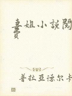 妻姐小说阅读免费封面