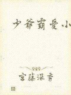 少爷霸爱小丫头